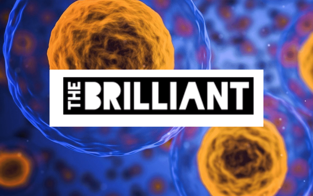 The Brilliant