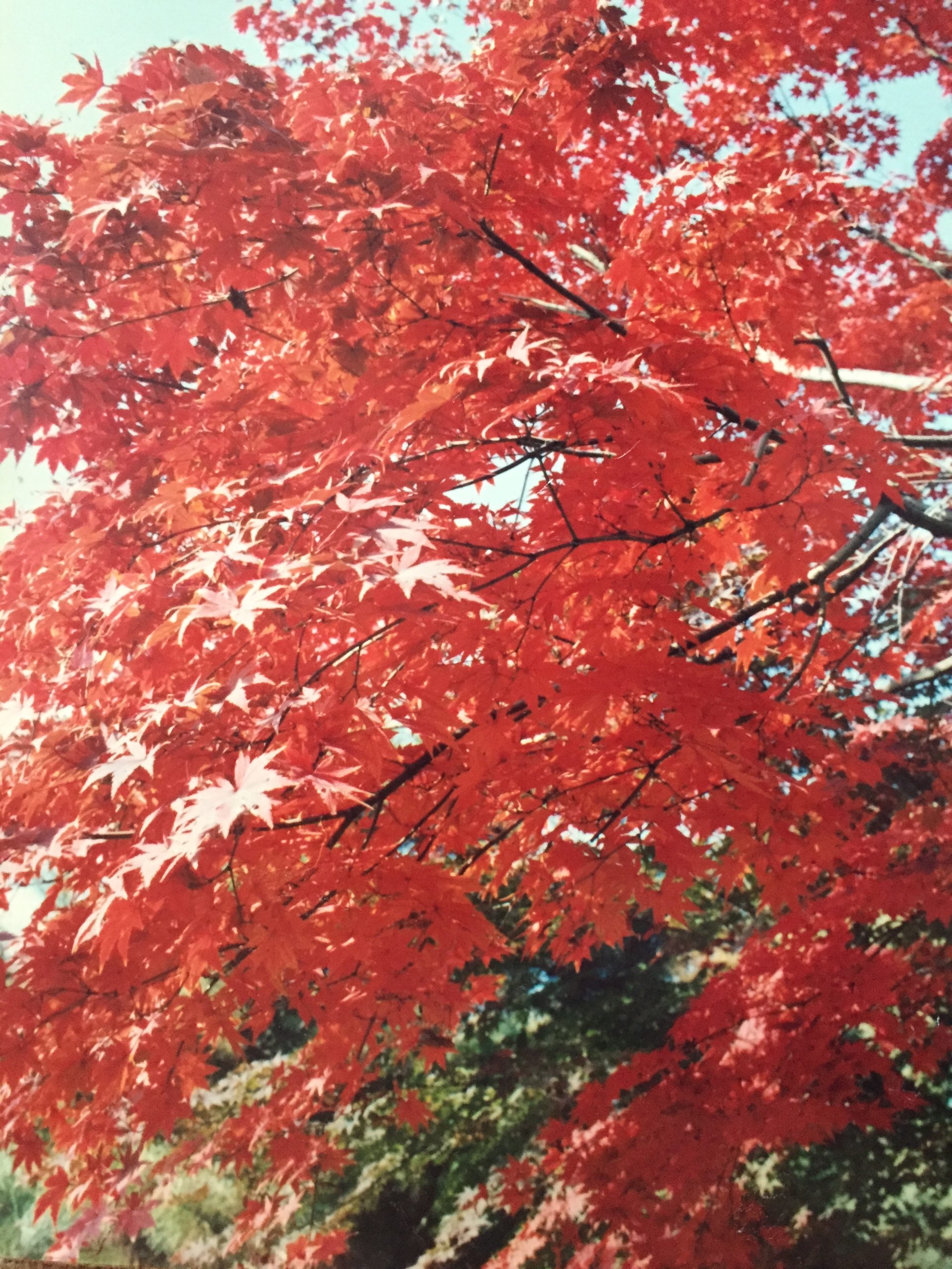 Seasons and Spice