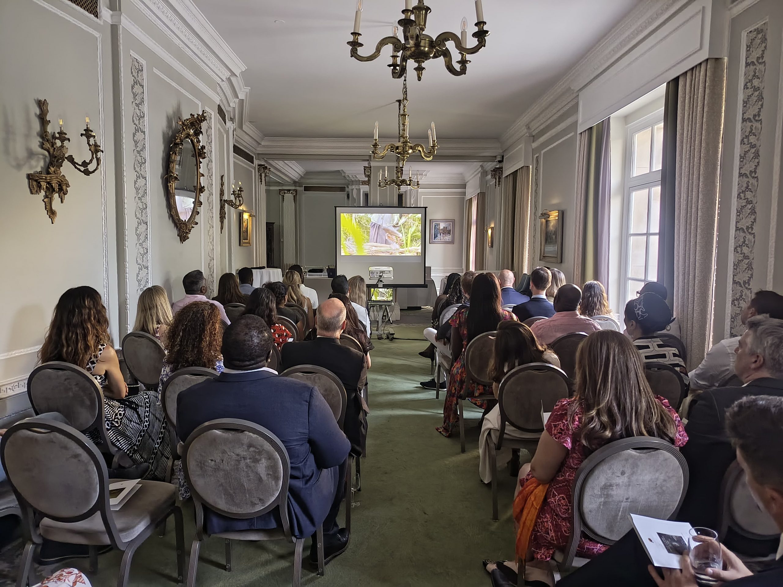 Investable Impact: Could Quality Carbon Credits Crack It?