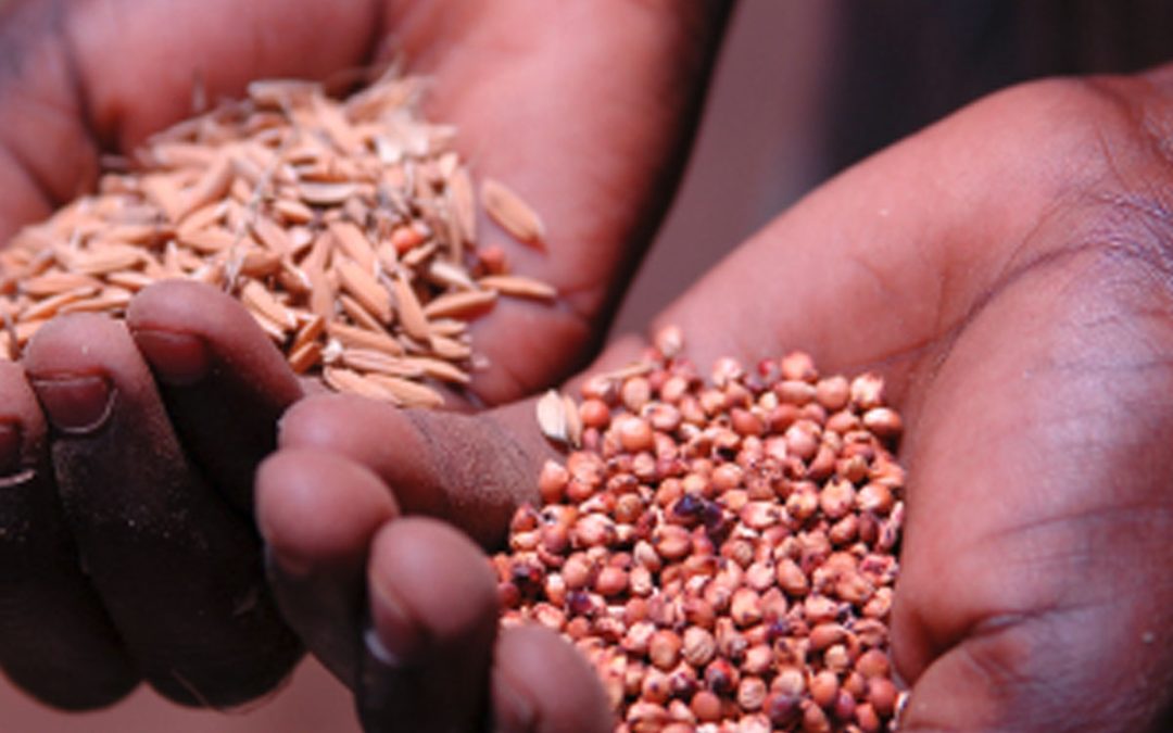 Africa Ready for Business