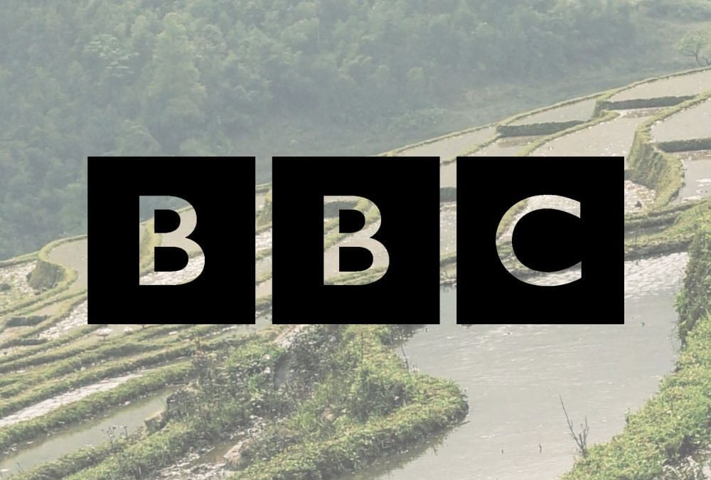BBC Online