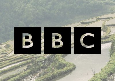 BBC Online