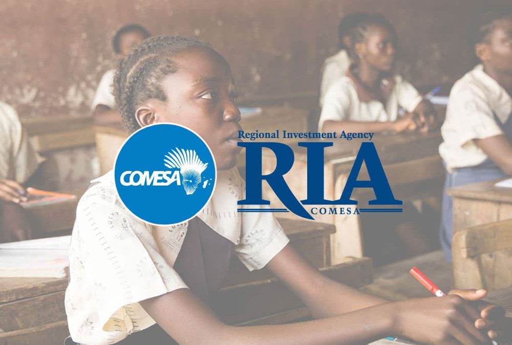 COMESA’s Promise