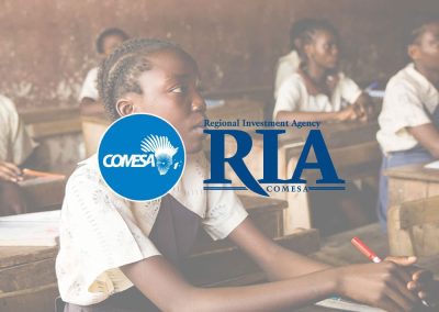 COMESA’s Promise